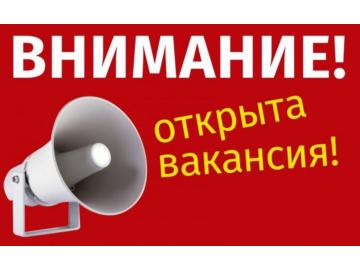 Вакансия. Менеджер по продажам программного обеспечения VideoSapiens